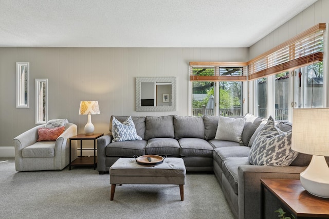 carpeted living room with a textured ceiling