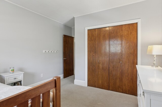 bedroom with light colored carpet, a closet, and ornamental molding