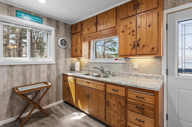 kitchen featuring a sink, light wood-style floors, brown cabinets, and a wealth of natural light