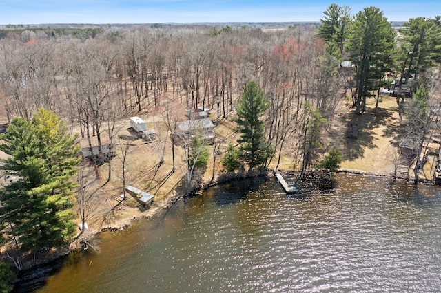 bird's eye view featuring a view of trees and a water view