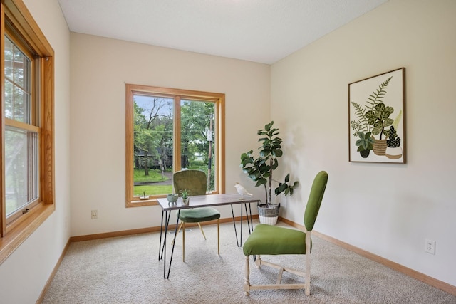 15960 224th Ave NW, Elk River, MN 55330 - photo 28