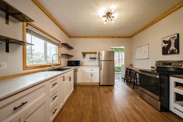 17492 460th Ln, Waterville, MN 56096 - kitchen with a textured ceiling, a sink, open shelves, wood finished floors, and appliances with stainless steel finishes