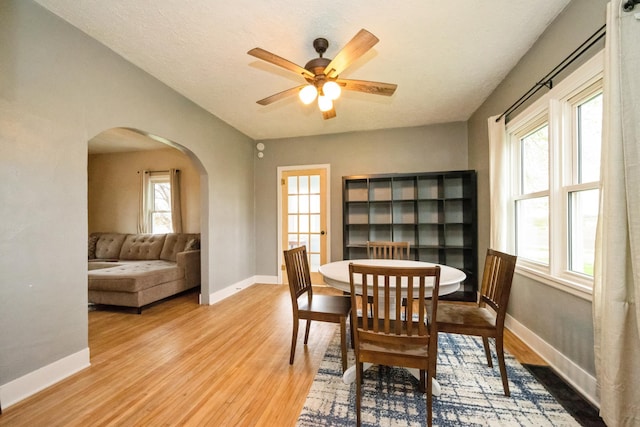 17492 460th Ln, Waterville, MN 56096 - dining space featuring arched walkways, baseboards, a healthy amount of sunlight, and light wood-style floors