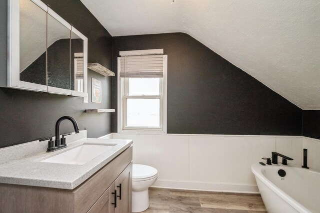 17492 460th Ln, Waterville, MN 56096 - full bathroom with lofted ceiling, wainscoting, vanity, a freestanding tub, and wood finished floors