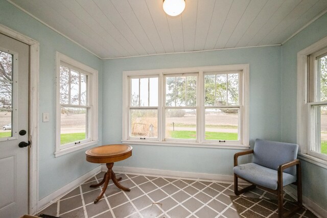 17492 460th Ln, Waterville, MN 56096 - view of sunroom