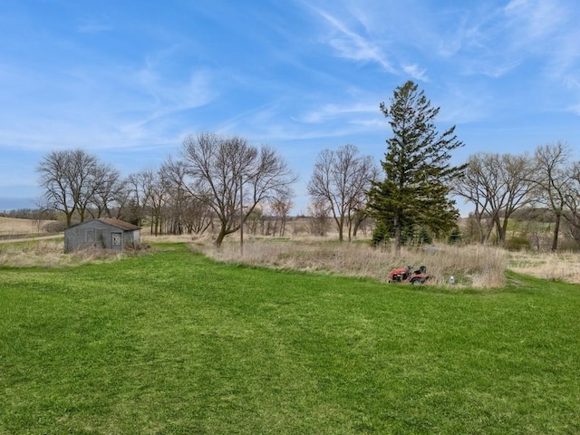 17492 460th Ln, Waterville, MN 56096 - view of yard