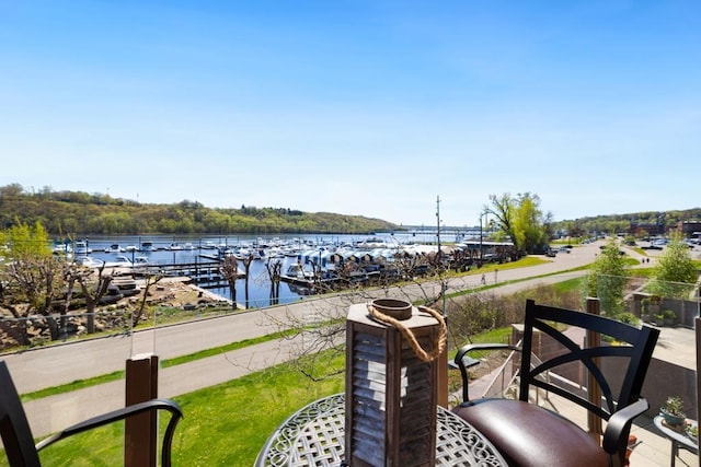 dock area with a water view