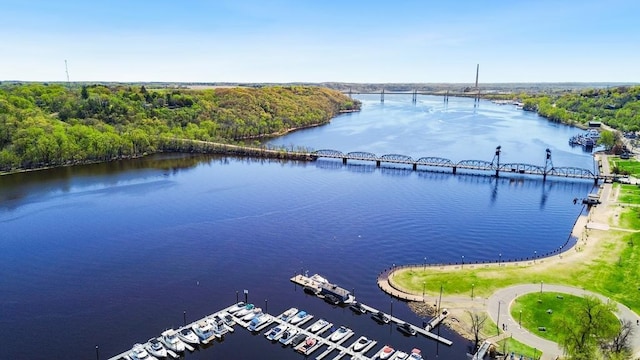 bird's eye view featuring a water view and a wooded view
