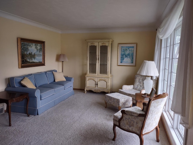 122 10th St, Madison, MN 56256 - carpeted living area with crown molding