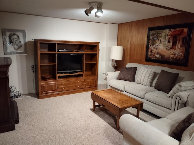 122 10th St, Madison, MN 56256 - living room featuring carpet floors, wooden walls, and baseboards