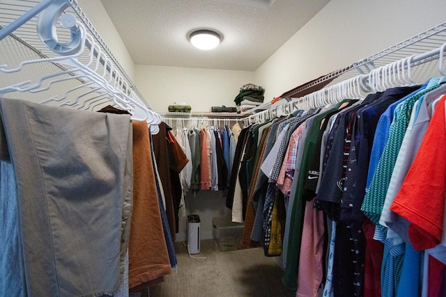 walk in closet with carpet floors