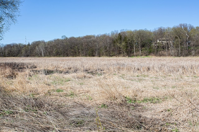 4465 167th Ave NW, Andover, MN 55304 - view of woods with a rural view