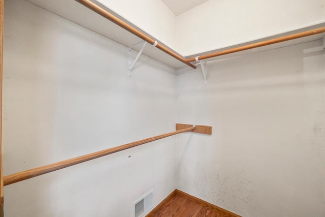 1312 Widgeon Way, Buffalo, MN 55313 - view of walk in closet