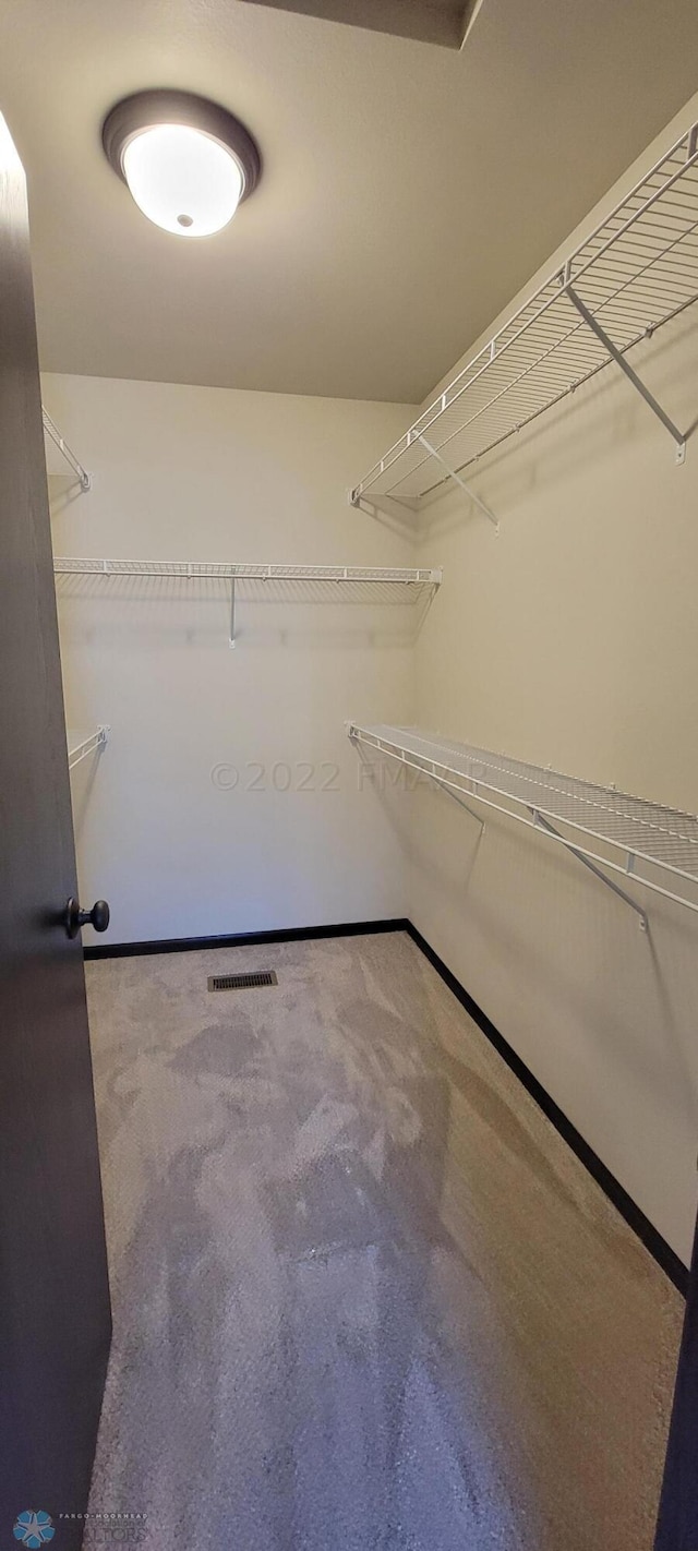walk in closet with visible vents and carpet flooring