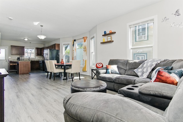 living room with light wood-style flooring