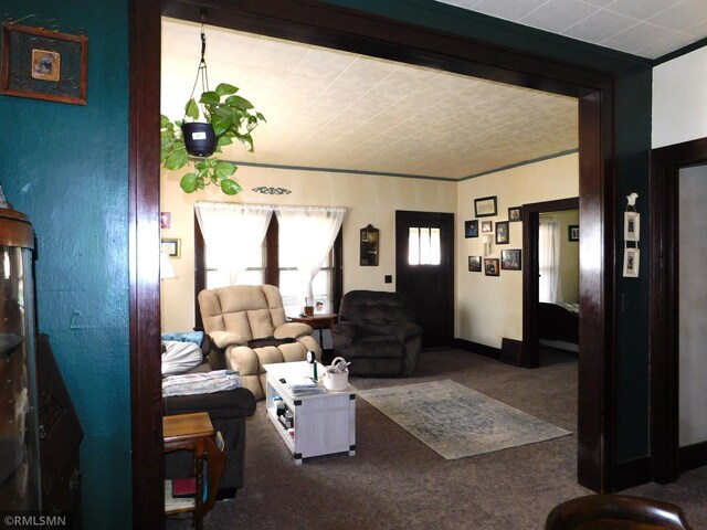 living area featuring carpet flooring