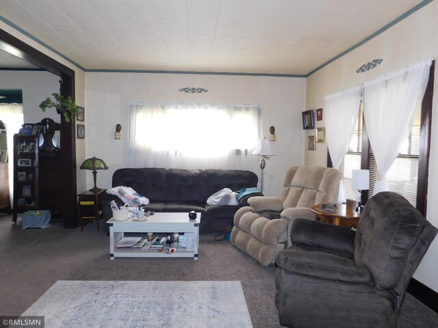 carpeted living room with crown molding