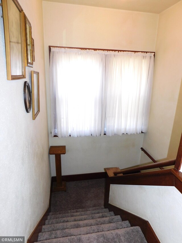 stairway featuring carpet flooring
