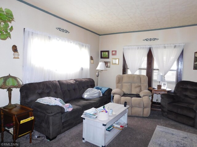 view of carpeted living area