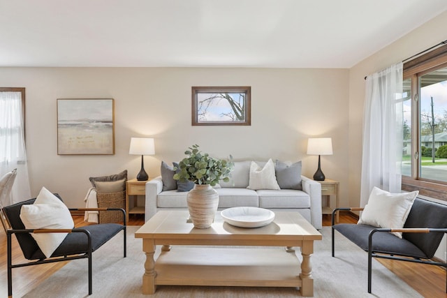 living area with light wood-style flooring and plenty of natural light
