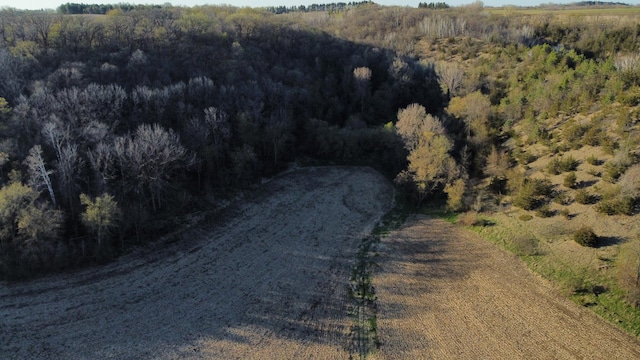 31255 Flueger Rd, Red Wing, MN 55066