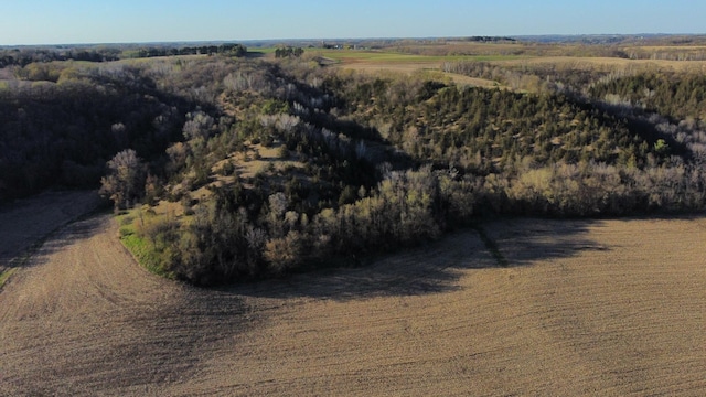 31255 Flueger Rd, Red Wing, MN 55066