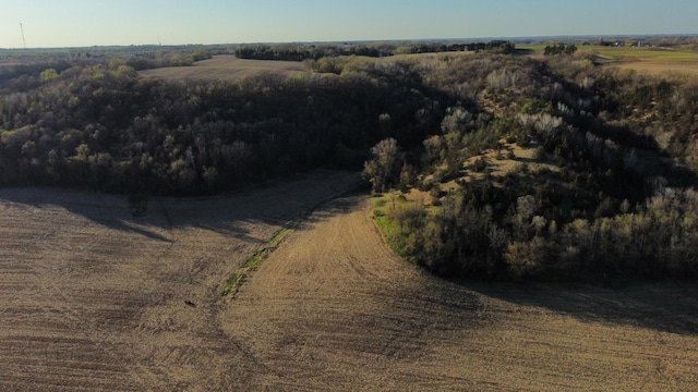 31255 Flueger Rd, Red Wing, MN 55066