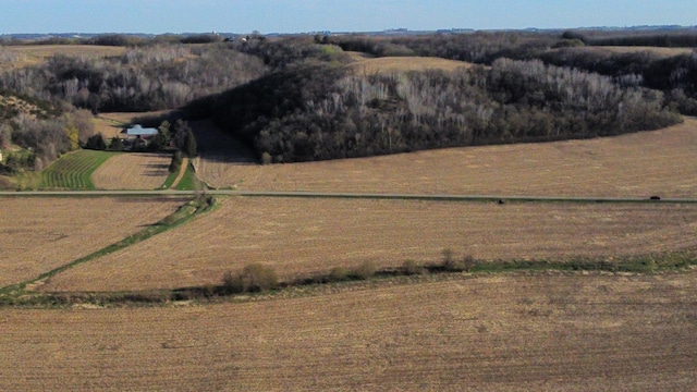 31255 Flueger Rd, Red Wing, MN 55066