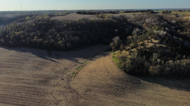 31255 Flueger Rd, Red Wing, MN 55066