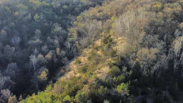 31255 Flueger Rd, Red Wing, MN 55066