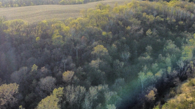 31255 Flueger Rd, Red Wing, MN 55066