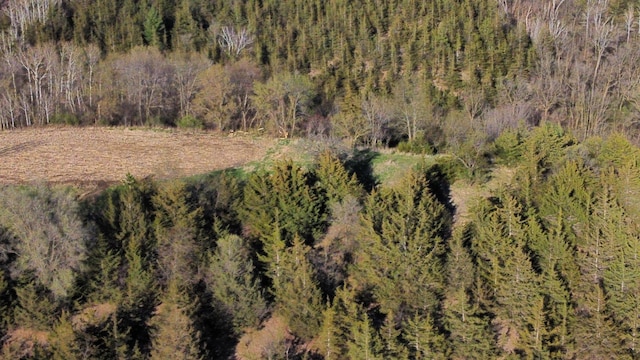 31255 Flueger Rd, Red Wing, MN 55066