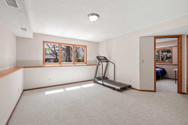 612 19th St N, Sartell, MN 56377 - workout room with a textured ceiling, visible vents, and carpet