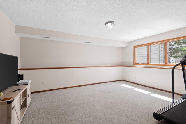 612 19th St N, Sartell, MN 56377 - exercise room featuring visible vents, light carpet, and a textured ceiling