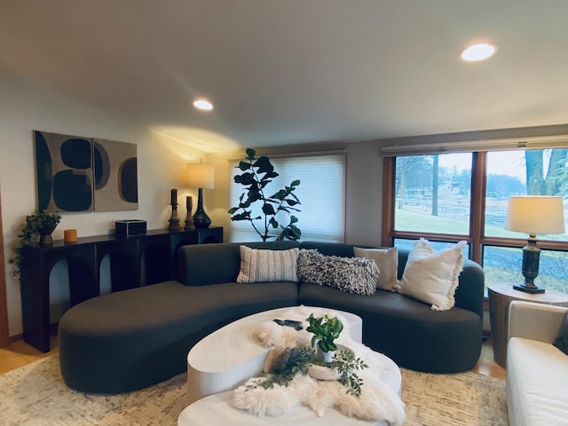 living area featuring recessed lighting and wood finished floors
