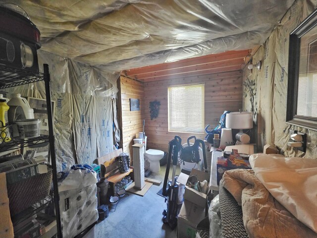 49818 Long Lake Trl, Bigfork, MN 56628 - misc room with concrete floors and wooden walls