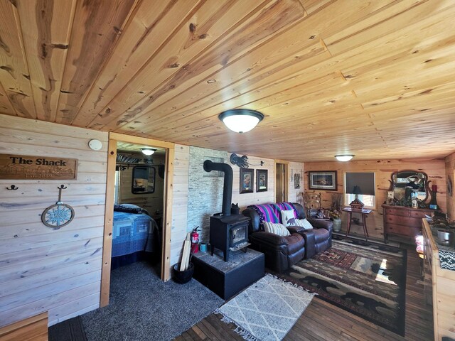 49818 Long Lake Trl, Bigfork, MN 56628 - living area with a wood stove, wooden ceiling, and wooden walls
