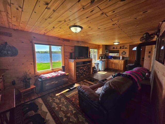 49818 Long Lake Trl, Bigfork, MN 56628 - living area with a wood stove, wooden walls, wooden ceiling, and dark wood-style floors