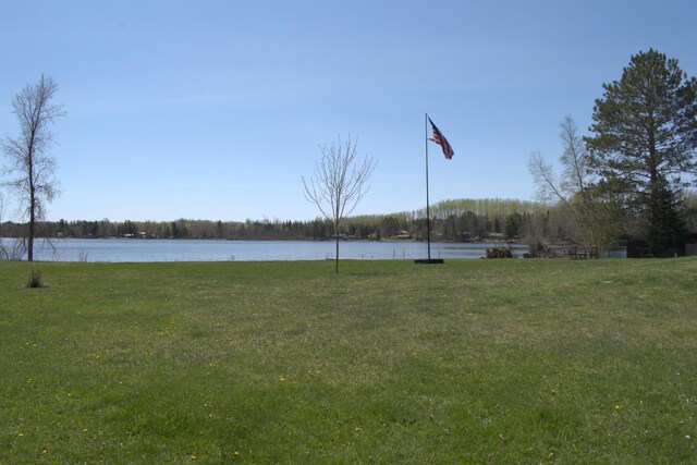 49818 Long Lake Trl, Bigfork, MN 56628 - view of grassy yard with a water view