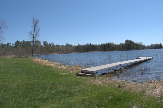 49818 Long Lake Trl, Bigfork, MN 56628 - dock featuring a water view, a view of trees, and a lawn