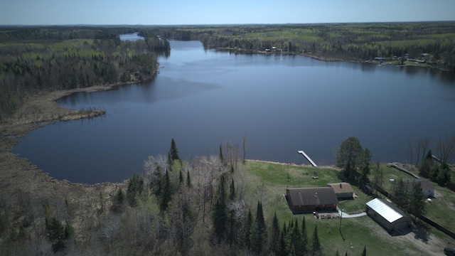 49818 Long Lake Trl, Bigfork, MN 56628 - aerial view of property's location featuring a forest and a nearby body of water