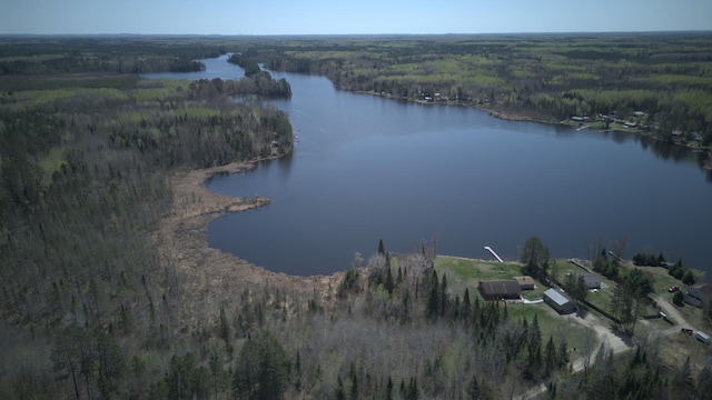 49818 Long Lake Trl, Bigfork, MN 56628 - view of property location featuring a forest and a large body of water