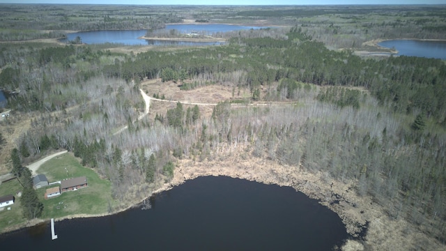49818 Long Lake Trl, Bigfork, MN 56628 - aerial view of property's location with a forest and a large body of water