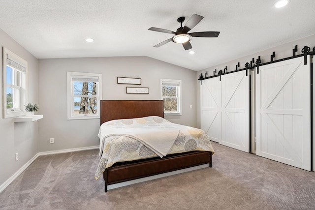 695 Pine Lake Ln, Bone Lake Twp, WI 54837 - carpeted bedroom with baseboards, multiple windows, a barn door, and vaulted ceiling