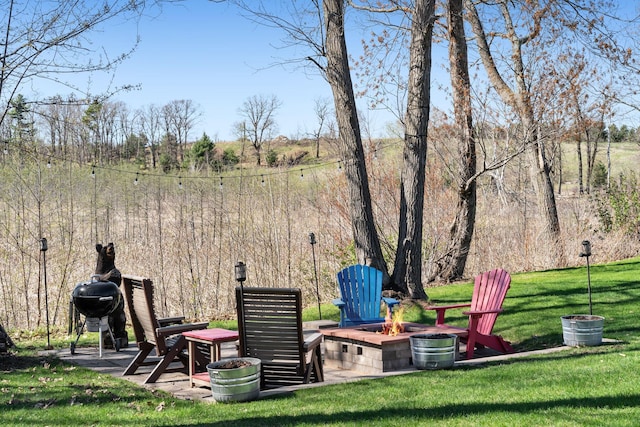 695 Pine Lake Ln, Bone Lake Twp, WI 54837 - view of yard with a fire pit