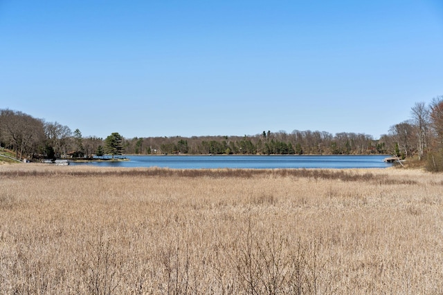 695 Pine Lake Ln, Bone Lake Twp, WI 54837 - property view of water with a wooded view
