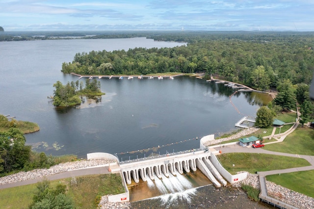 bird's eye view featuring a water view and a forest view