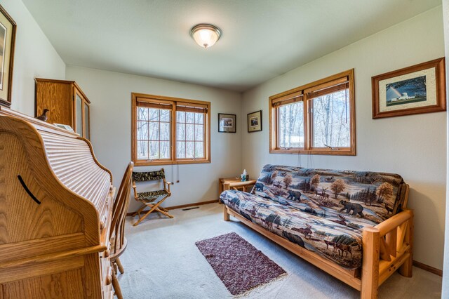 22410 Williams Rd SE, Cass Lake, MN 56633 - photo 34