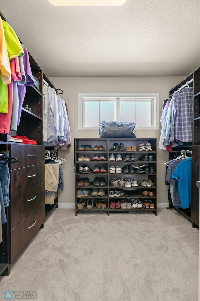 walk in closet featuring carpet