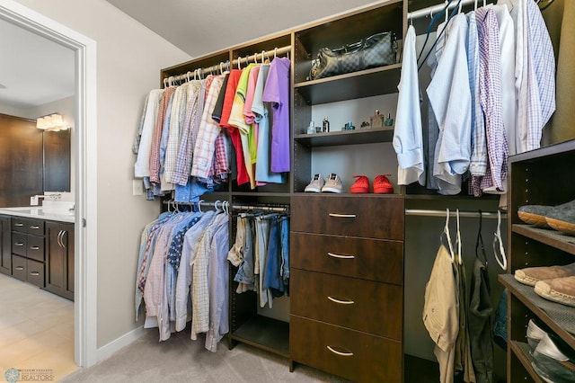 spacious closet featuring light colored carpet